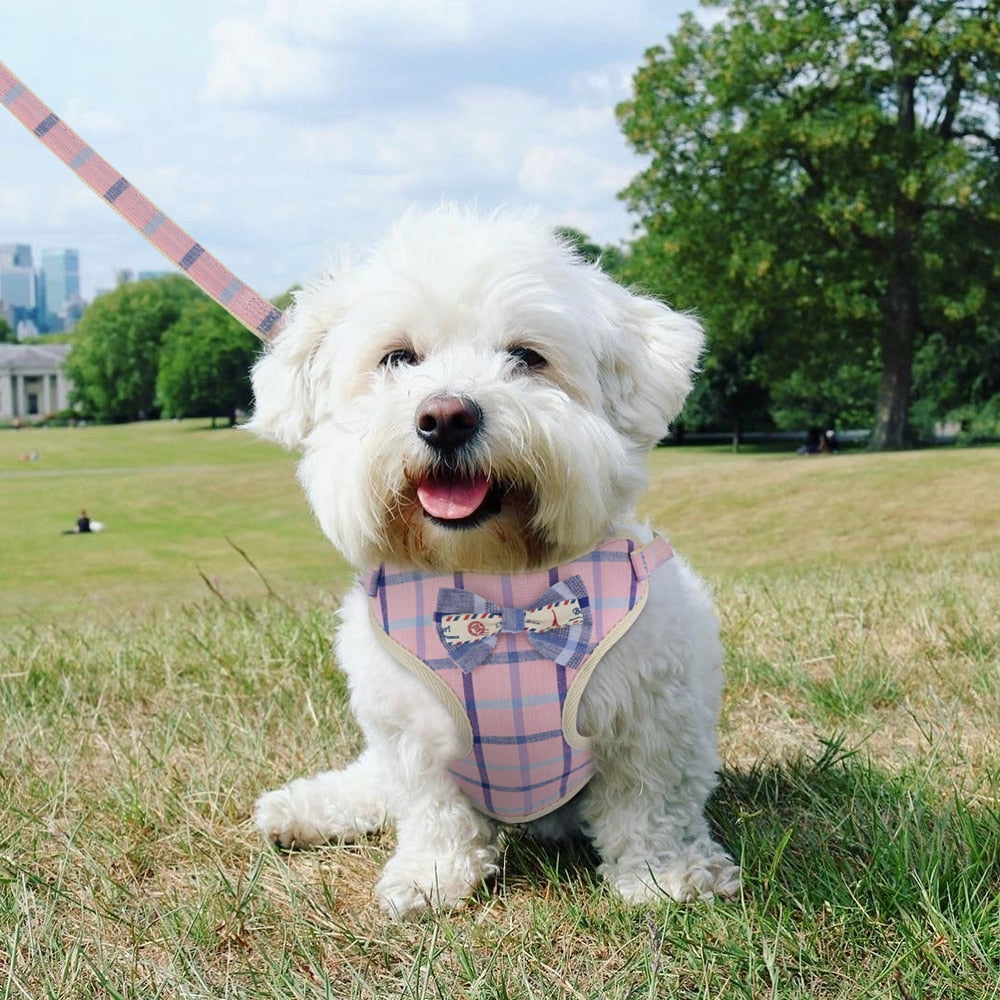 Cute Bowknot Ribbon Dog Harness