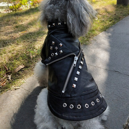 Cool Leather Dog Jacket