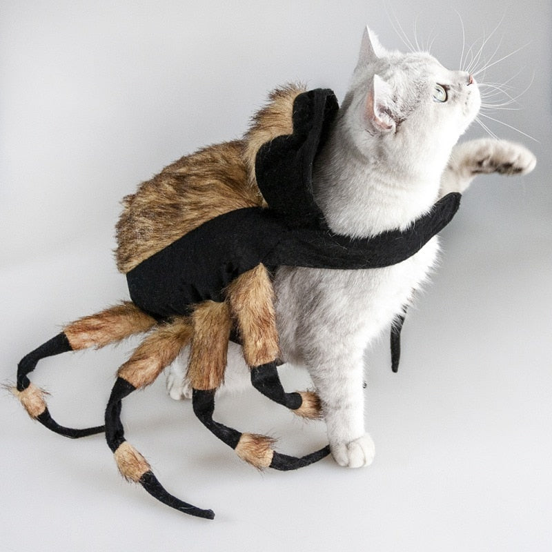 Funny Spider Pets Costume