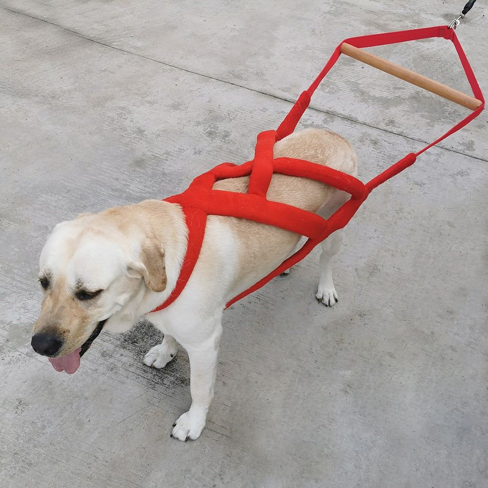 Durable Big Dog Weight Pulling Harness