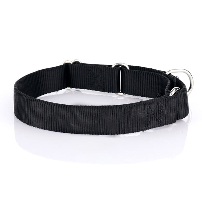 Sturdy Martingale Nylon Dog Collar