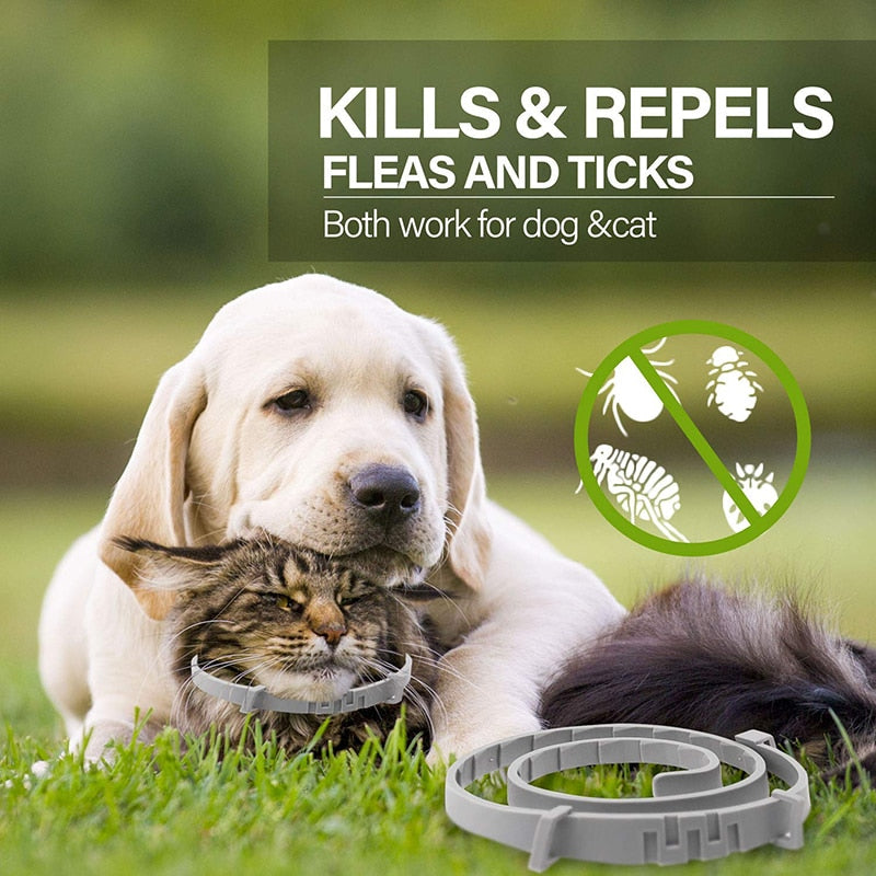 Effective 8 Month Protection Dog Flea Collar