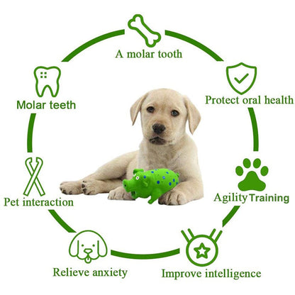 Eco Friendly Squeaky Dog Toys