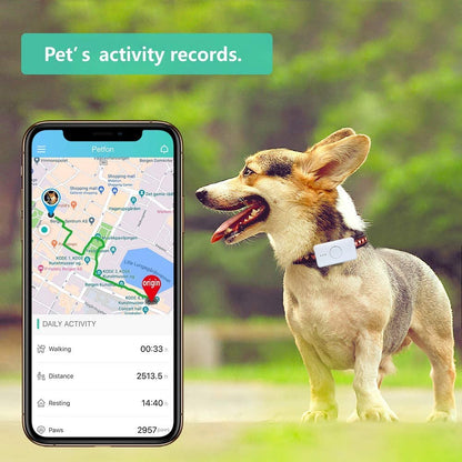 Global 4G LTE GPS Dog Tracker