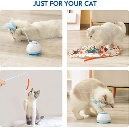 360 Rotating Teasing Feather Cat Toy