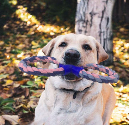 8 Shaped Dog Rope Toys