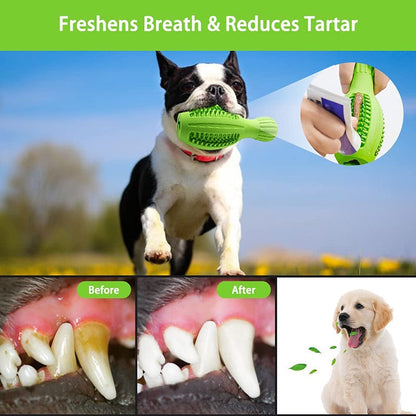 4 In 1 Squeaky Dog Chew Toy