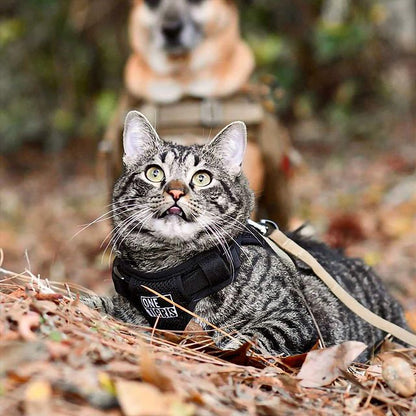 Protective Escape Proof Tactical Cat Harness