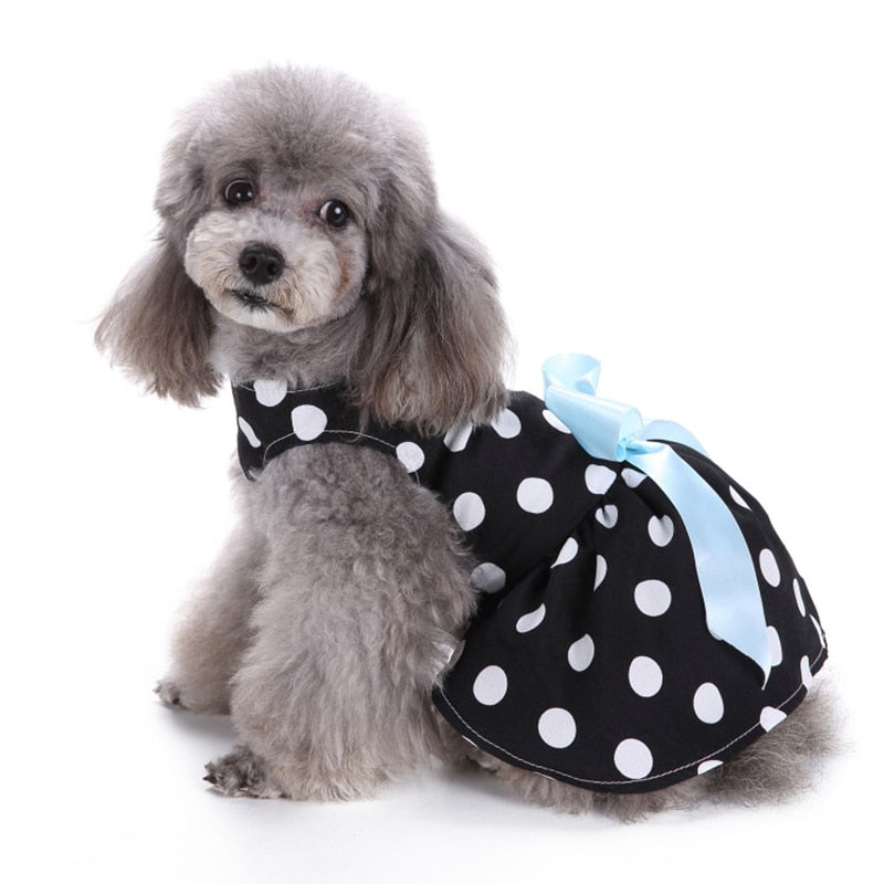 Adorable Cute Dot Pet Dress