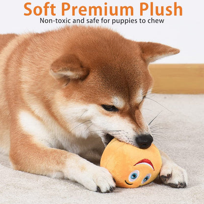 Funny Dog Squeaker Ball Toys