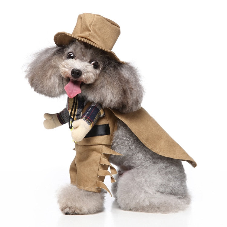 Halloween Cowboy Pets Costumes