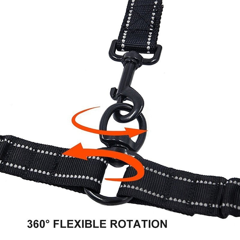 Premium Bungee Double Dog Leashes