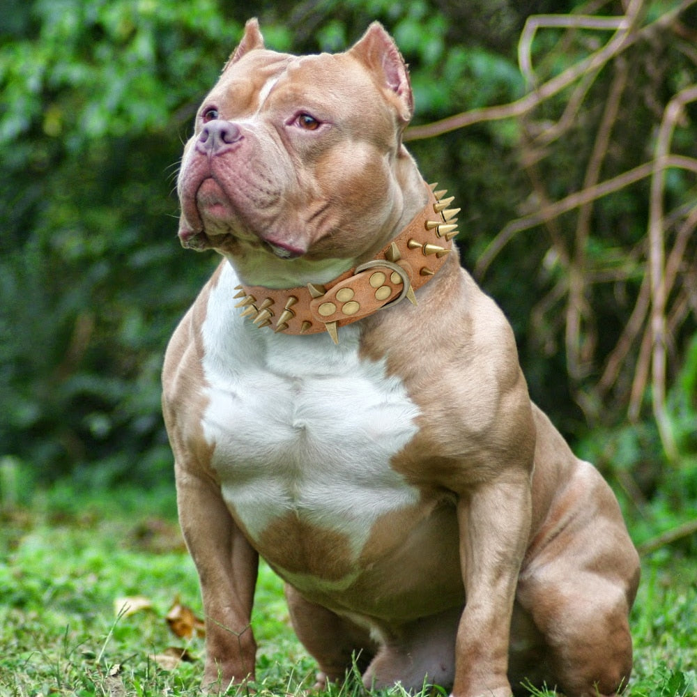 PU Leather Spiked Studded Dog Collar