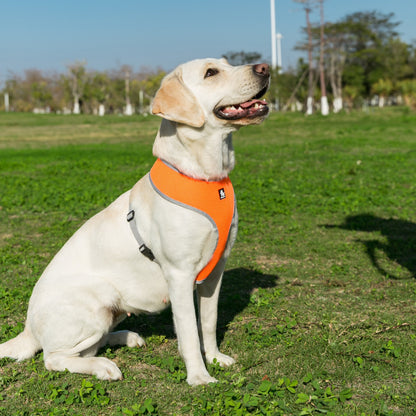 Breathable Mesh Nylon Soft Dog Harness