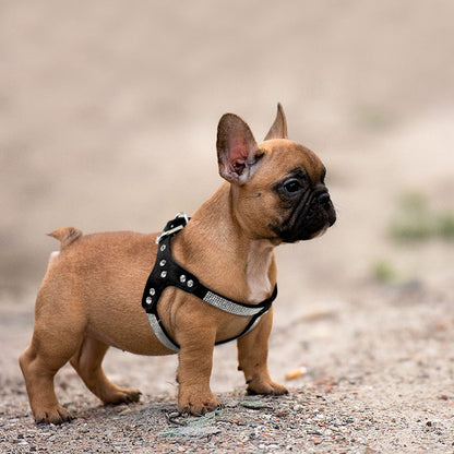 Shiny Rhinestone Leather Dog Harness