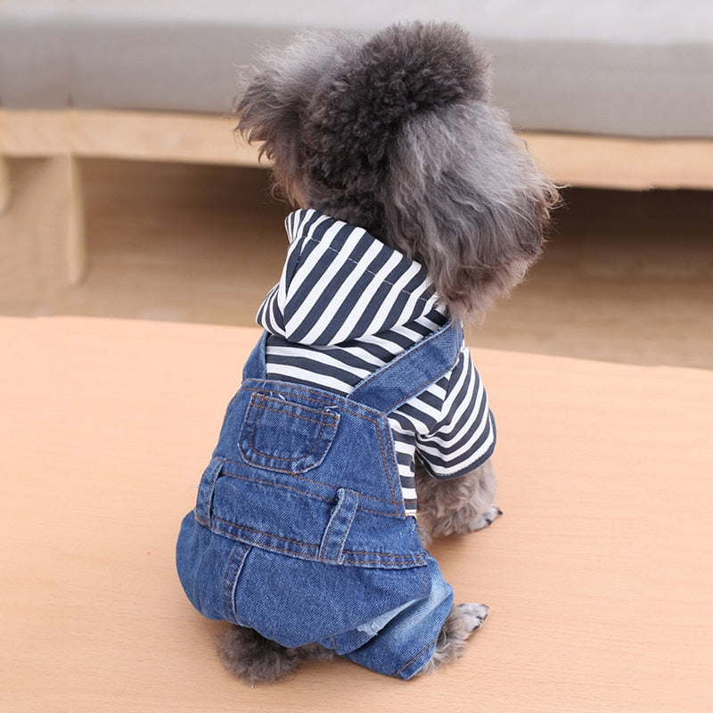 Fashion Stripe Denim Dog Pants