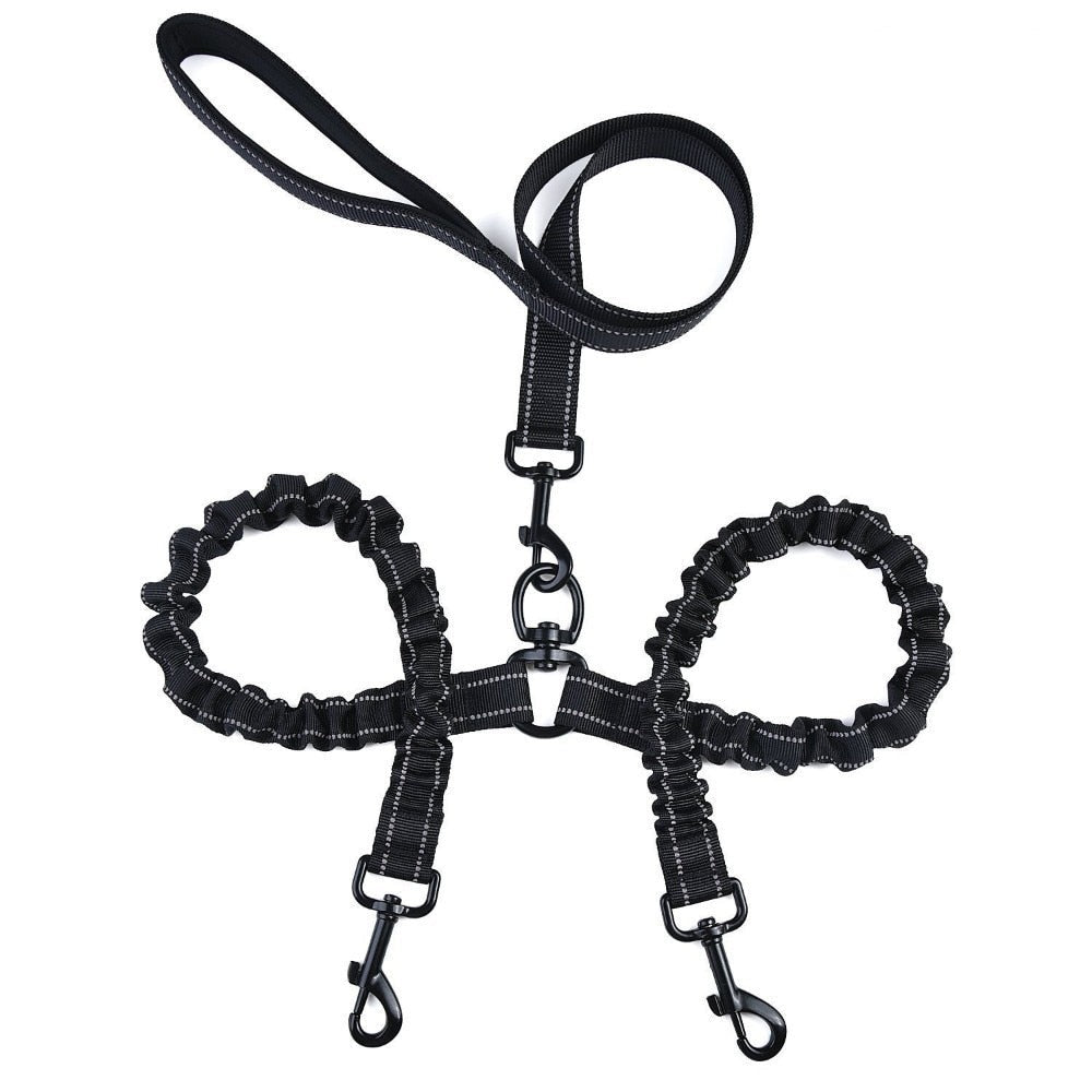 Premium Bungee Double Dog Leashes