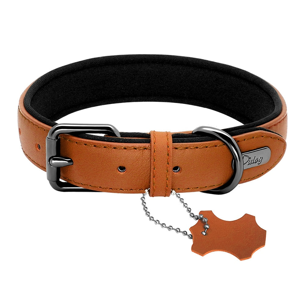 Exquisite Genuine Leather Dog Collar