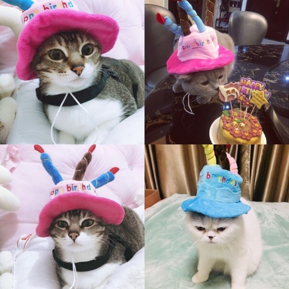 Cute Pets Birthday Hat