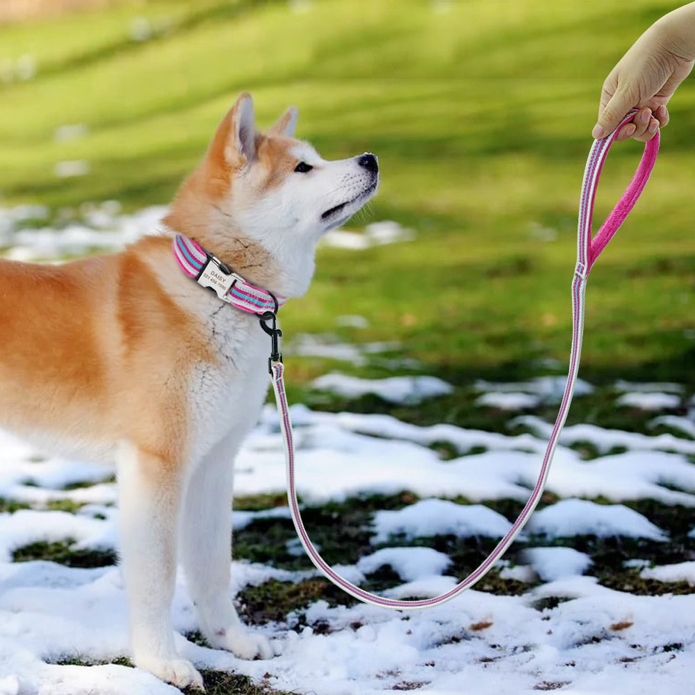 Soft Padded Dog Collar And Leash Set