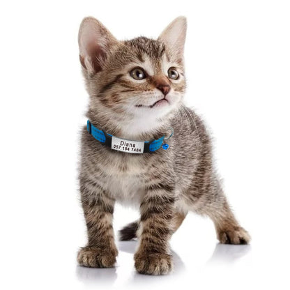 Reflective Nylon Kitten Collar