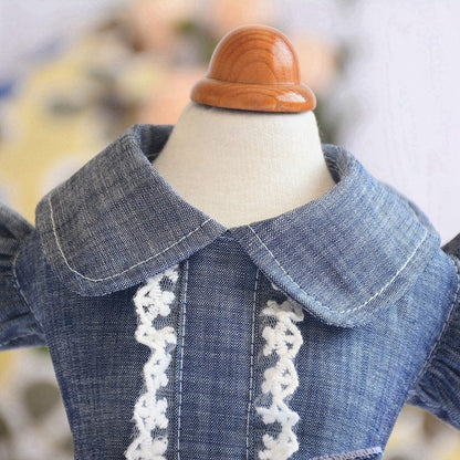 Spring Dog Denim Dress