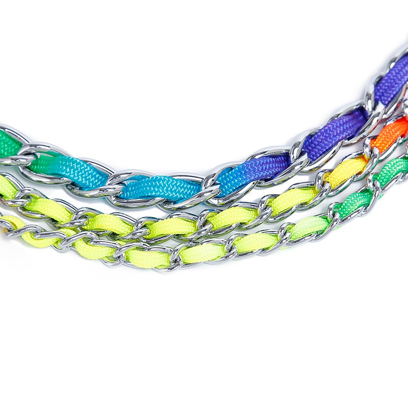 Rainbow Stainless Steel Dog Chain