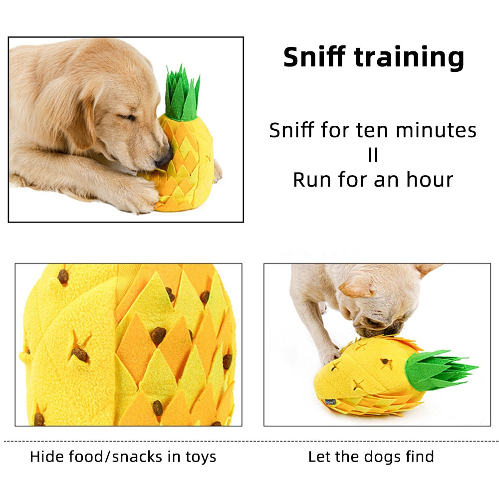 Pineapple Dog Sniffing Toy