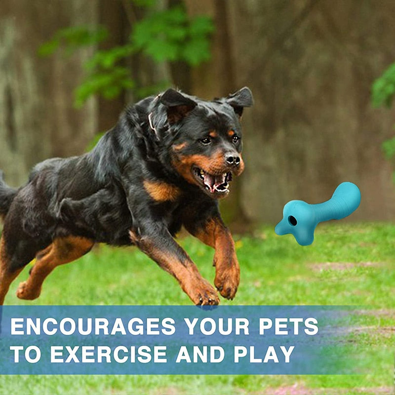 Squeaky Chewing Stick Dog Toys