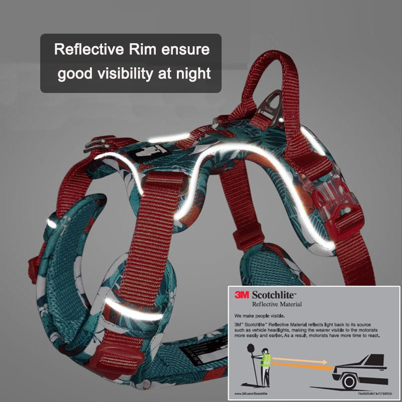 3 Fast Release Buckles Dog Harness