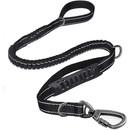 Advance Shock Absorbing Dog Leash