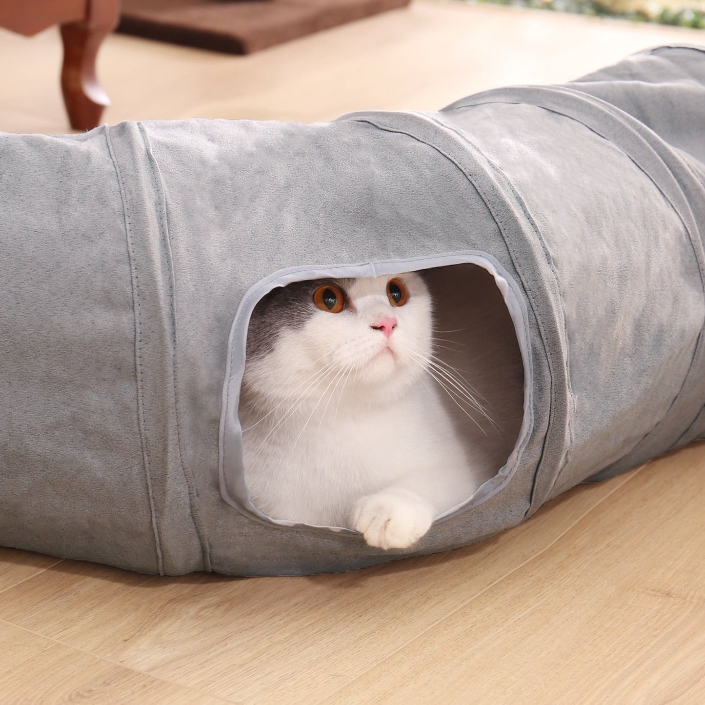 Collapsible Hideaway S Shape Cat Tunnel