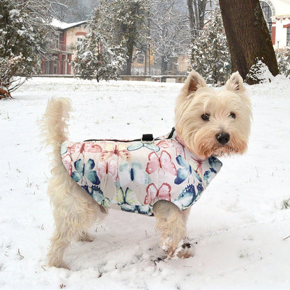 Butterfly Print Warm Dog Coat