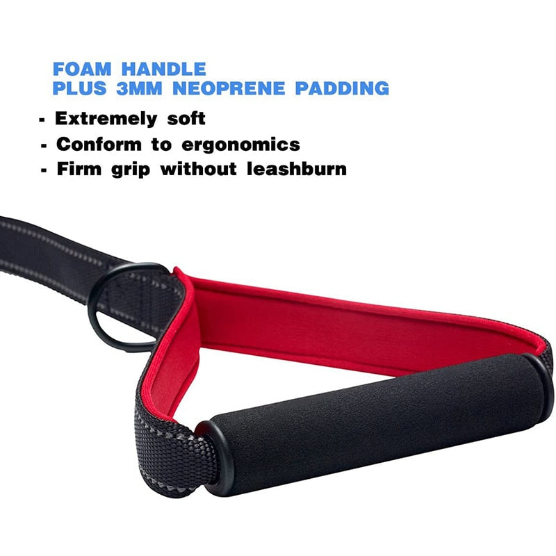 Heavy Duty Padded Handle Dog Leash