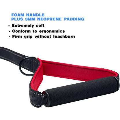 Heavy Duty Padded Handle Dog Leash