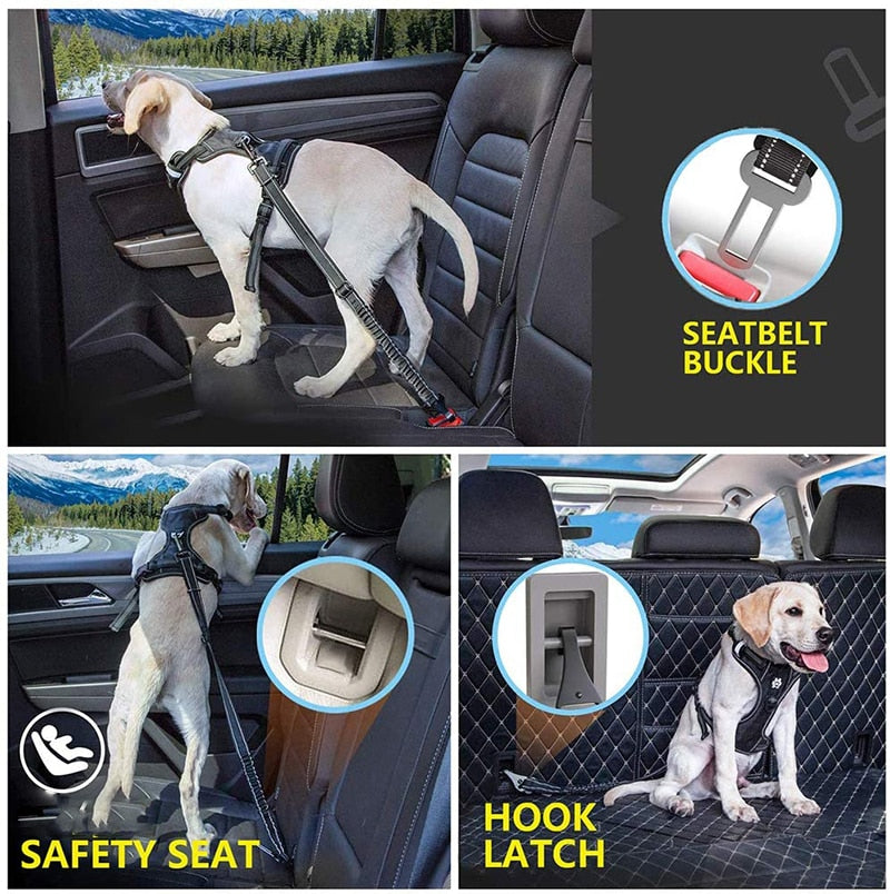 2 In 1 Latch Bar Dog Car Seat Belt