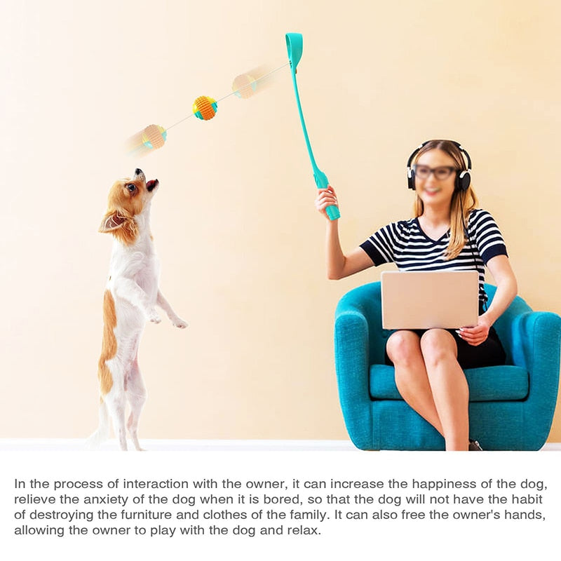 Interactive Dog Ball Launcher