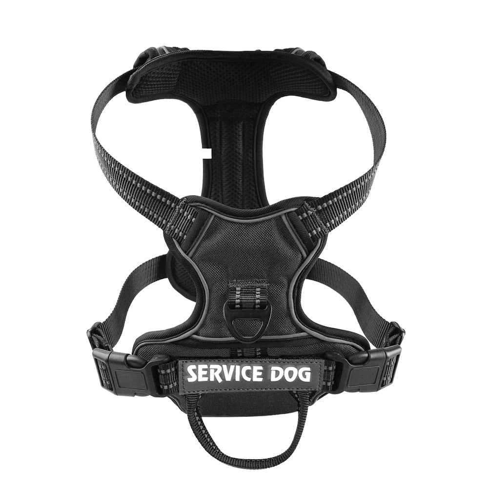 Nylon Personalized Reflective Dog Vest