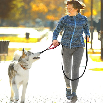 Heavy Duty Padded Handle Dog Leash