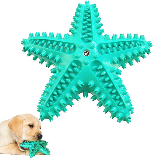 Squeaky Star Durable Dog Chew Toys