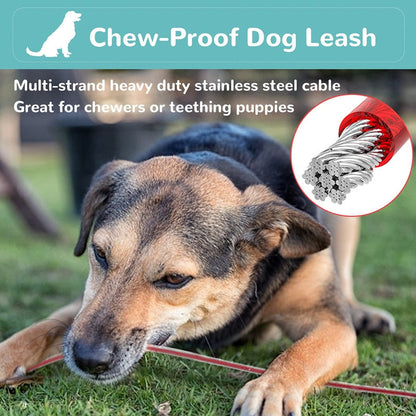 Indestructible Chew Proof Dog Leash