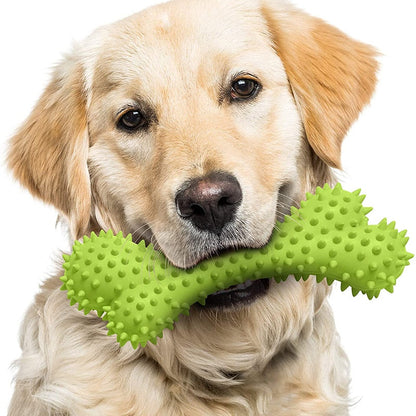 Bite Resistant Bouncy Dog Bone Toy