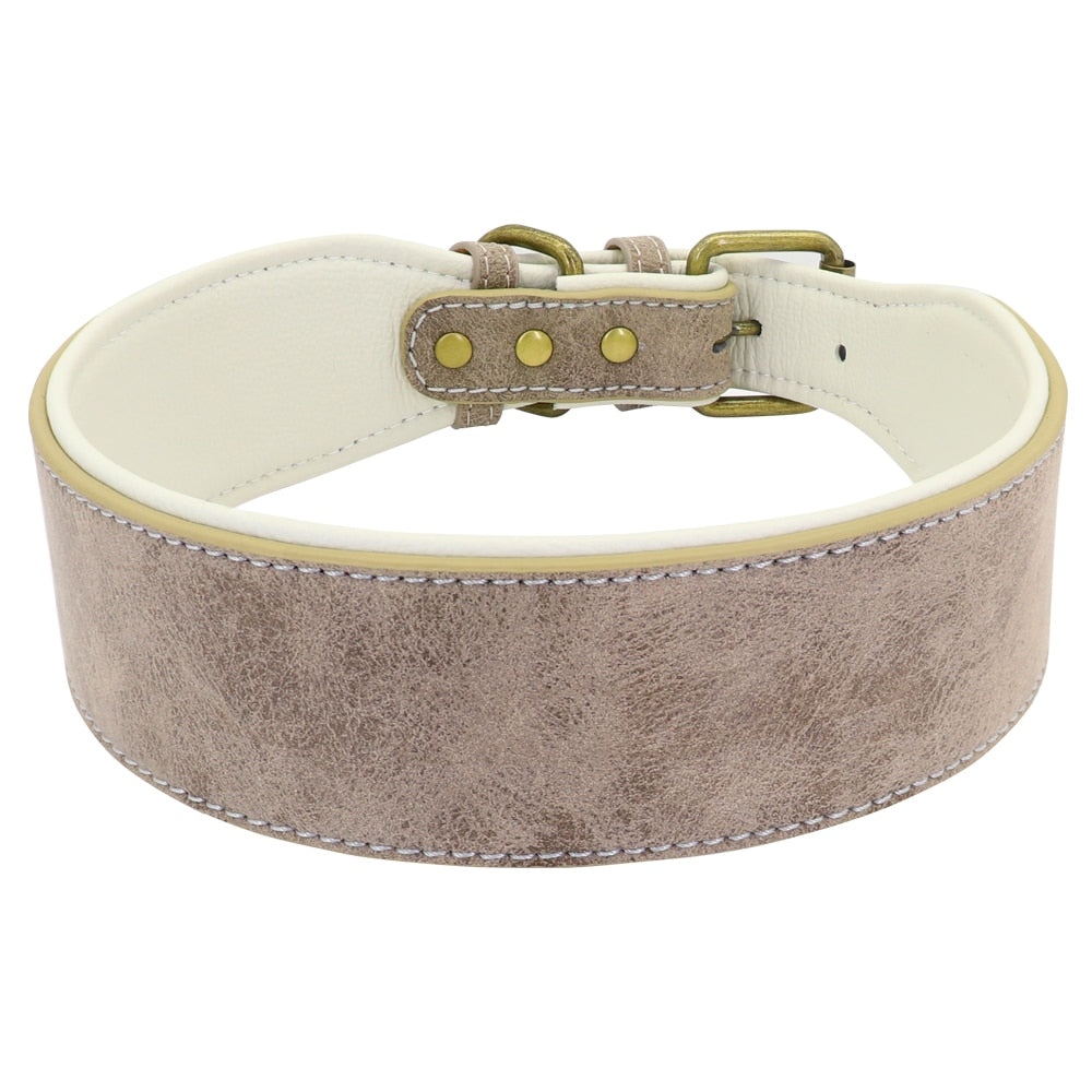 Soft Padded Wide Leather Dog Collar