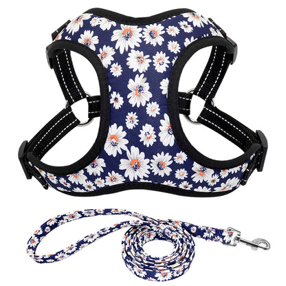 Nylon No Pull Dog Harnesses Set