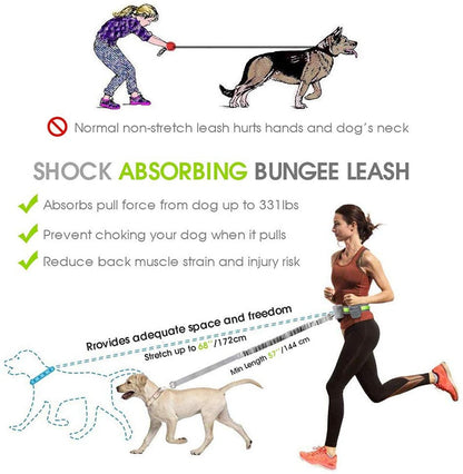 Elastic Reflective Running Dog Lead