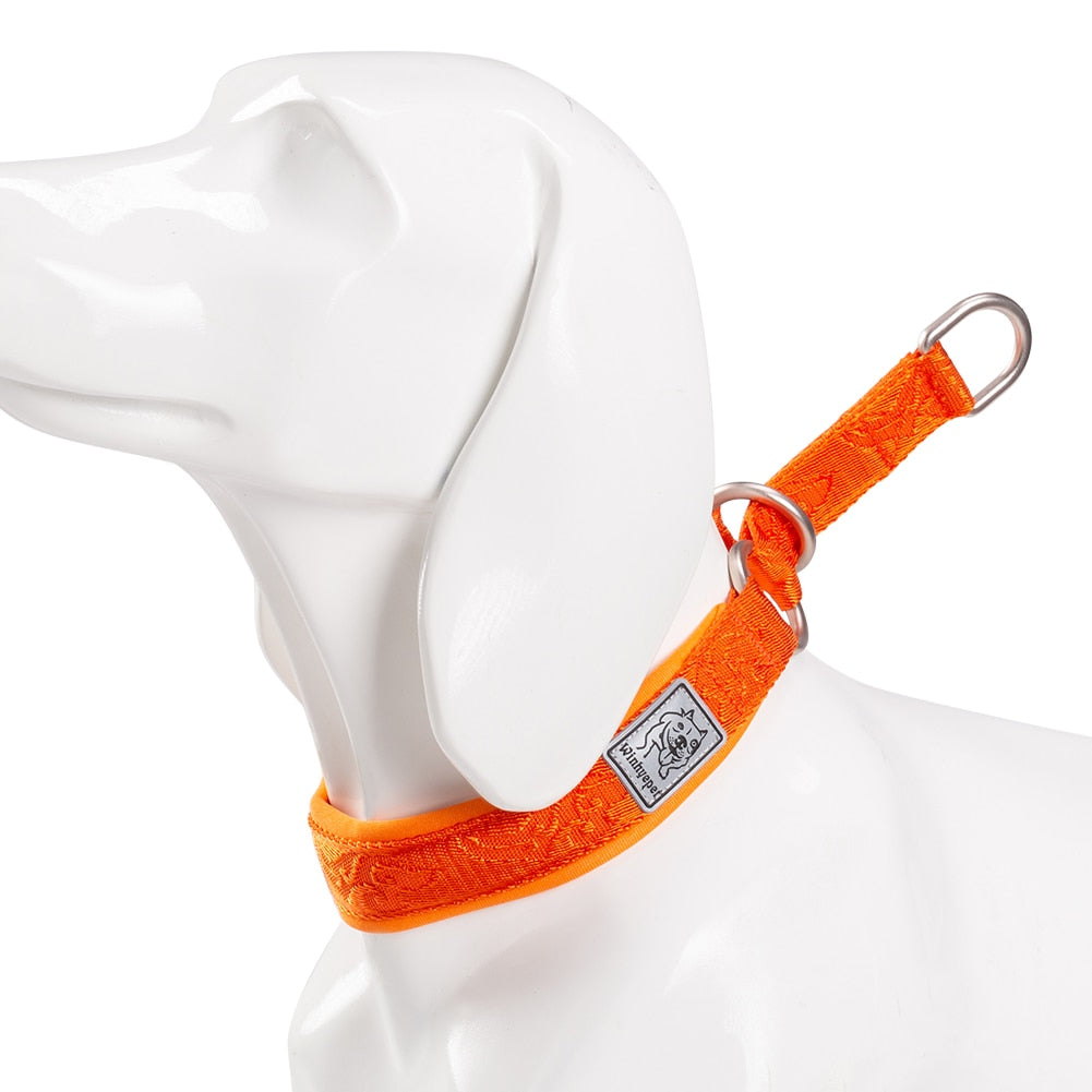 Nylon Webbing P-chain Pet Collar