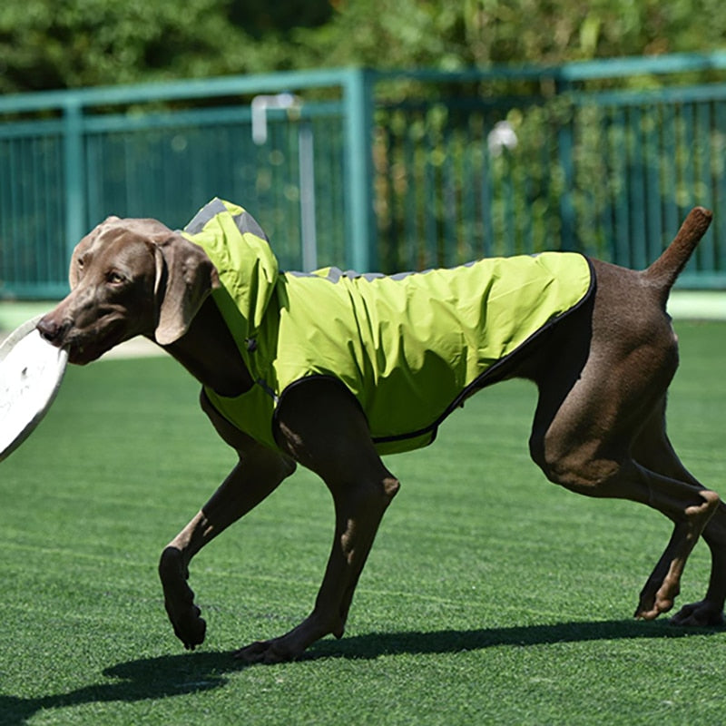 Reflective Pet Outdoor Waterproof Raincoat