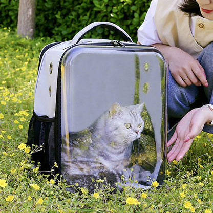 Clear Window Travel Pets Backpack