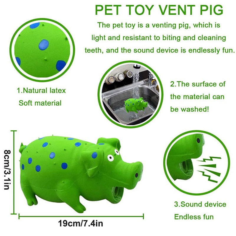 Eco Friendly Squeaky Dog Toys