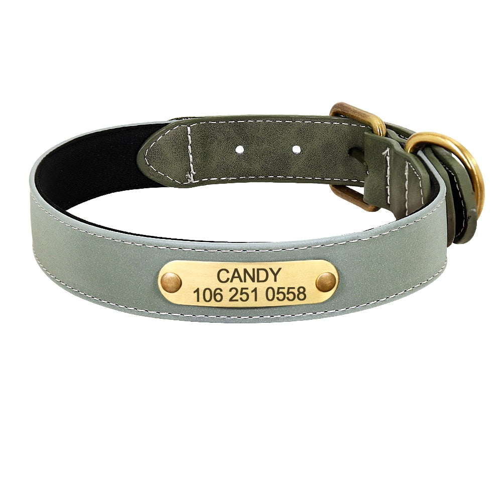 Leather Padded Nameplate Dog Collar
